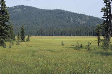 Canadian Rockies Ecoregion scene
